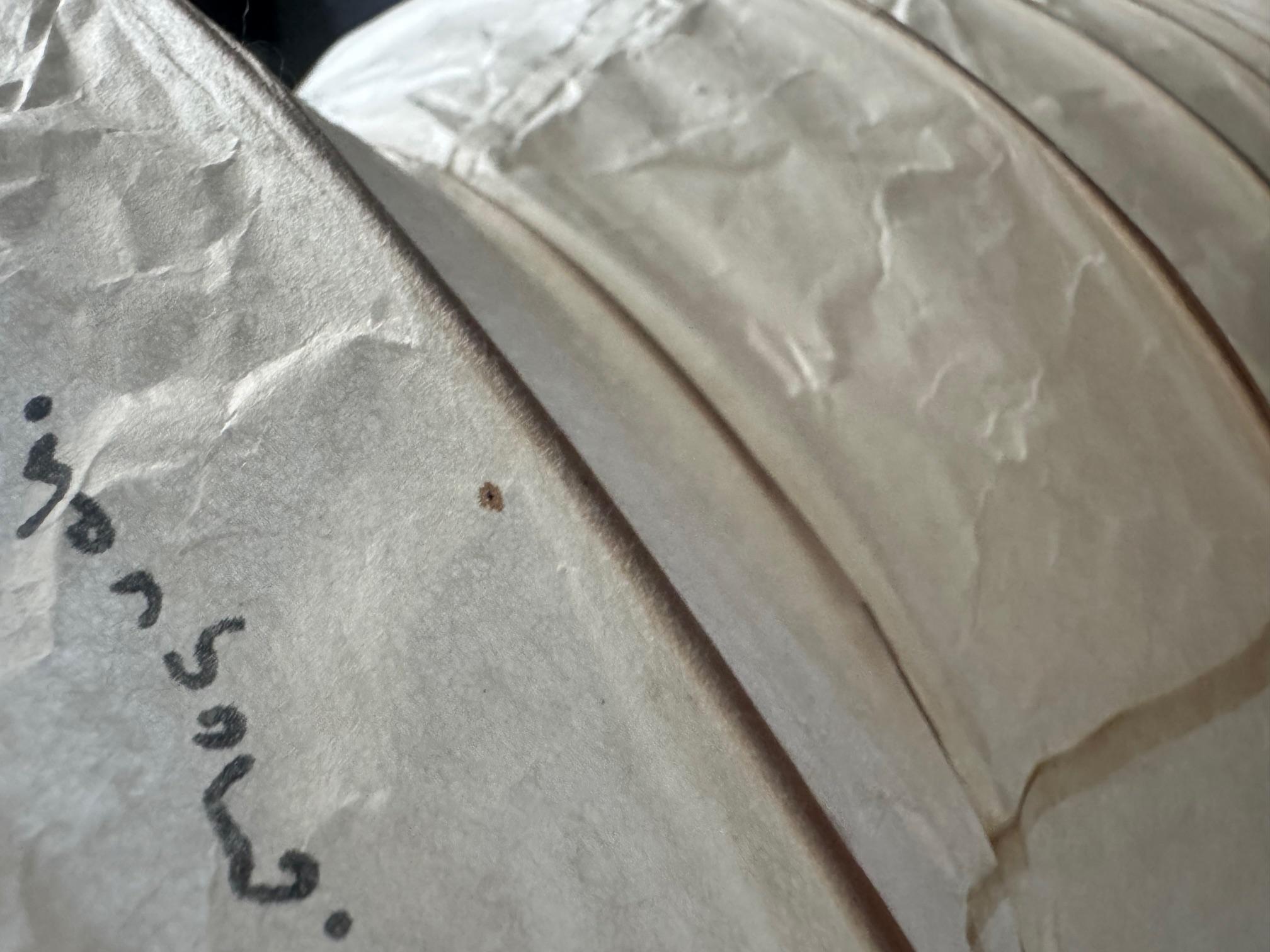 Lampada da soffitto Isamu Noguchi 31N Paper Akari in vendita 3