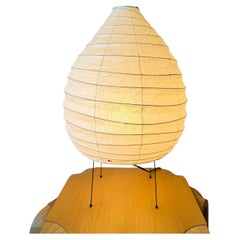 Lampade da terra