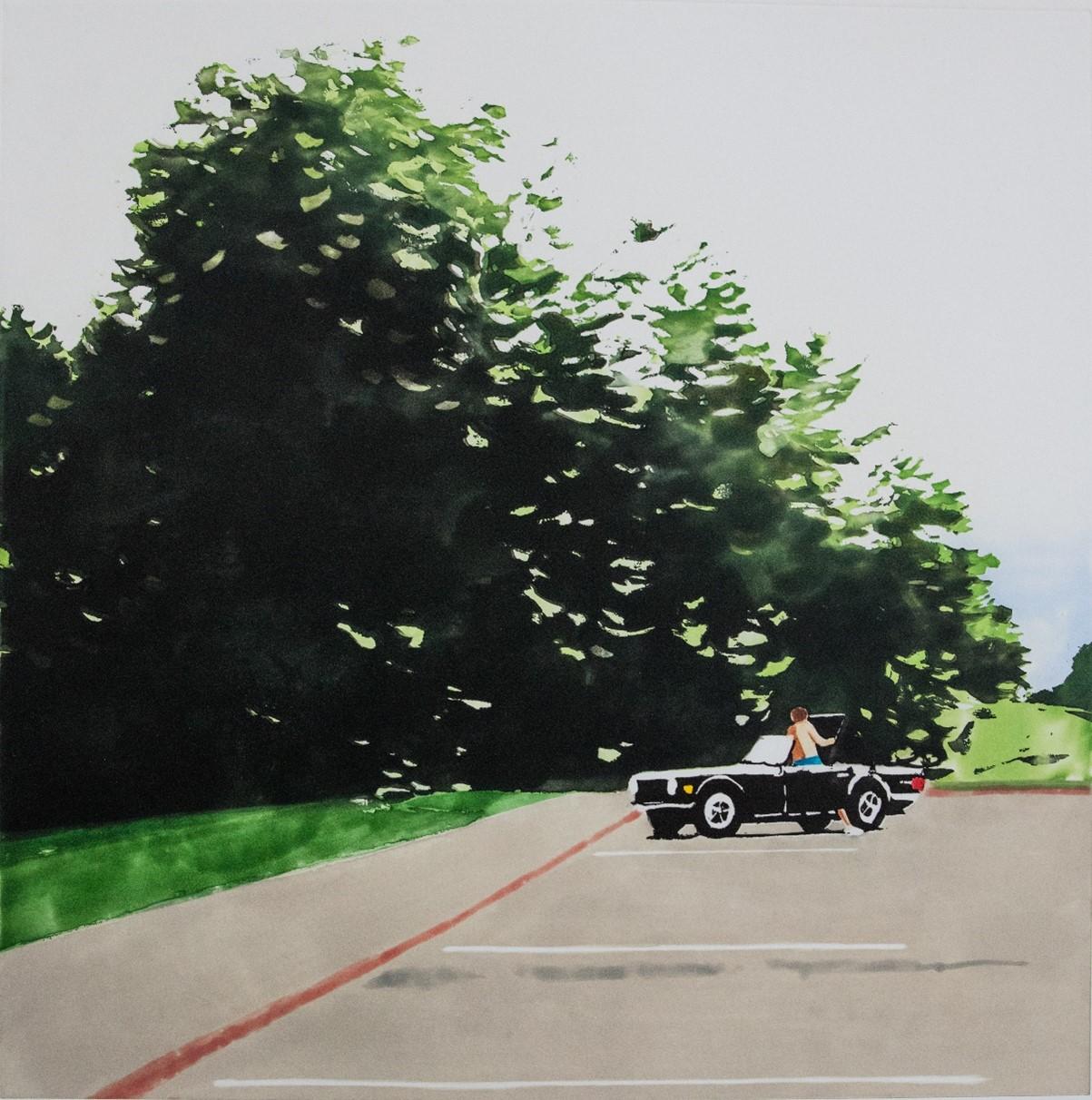 Isca Greenfield-Sanders Landscape Print - Convertible 