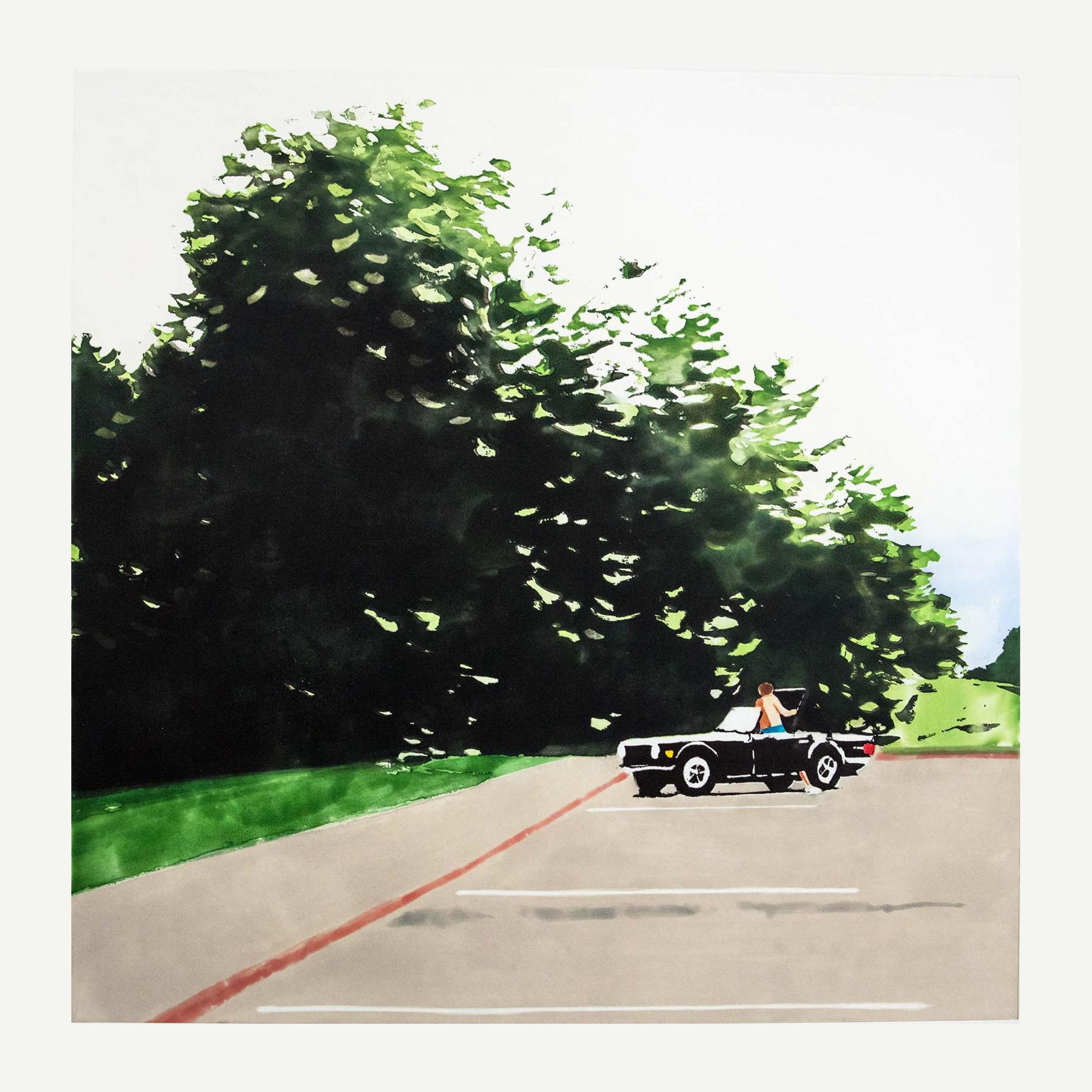 Isca Greenfield-Sanders Landscape Print - Convertible