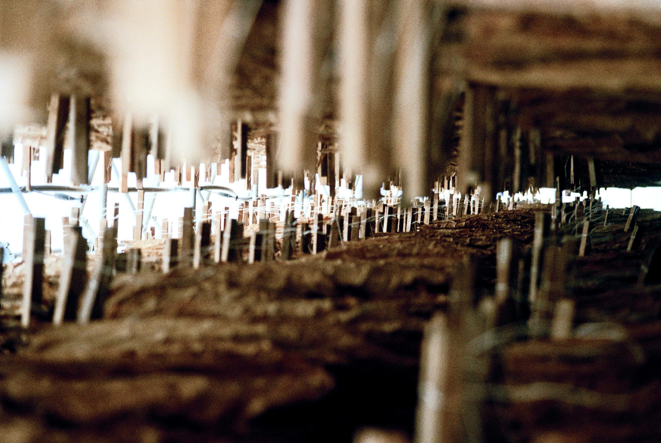 Abstract Photograph Iseult Labote - Paysages urbains - Serie Voile N° VI