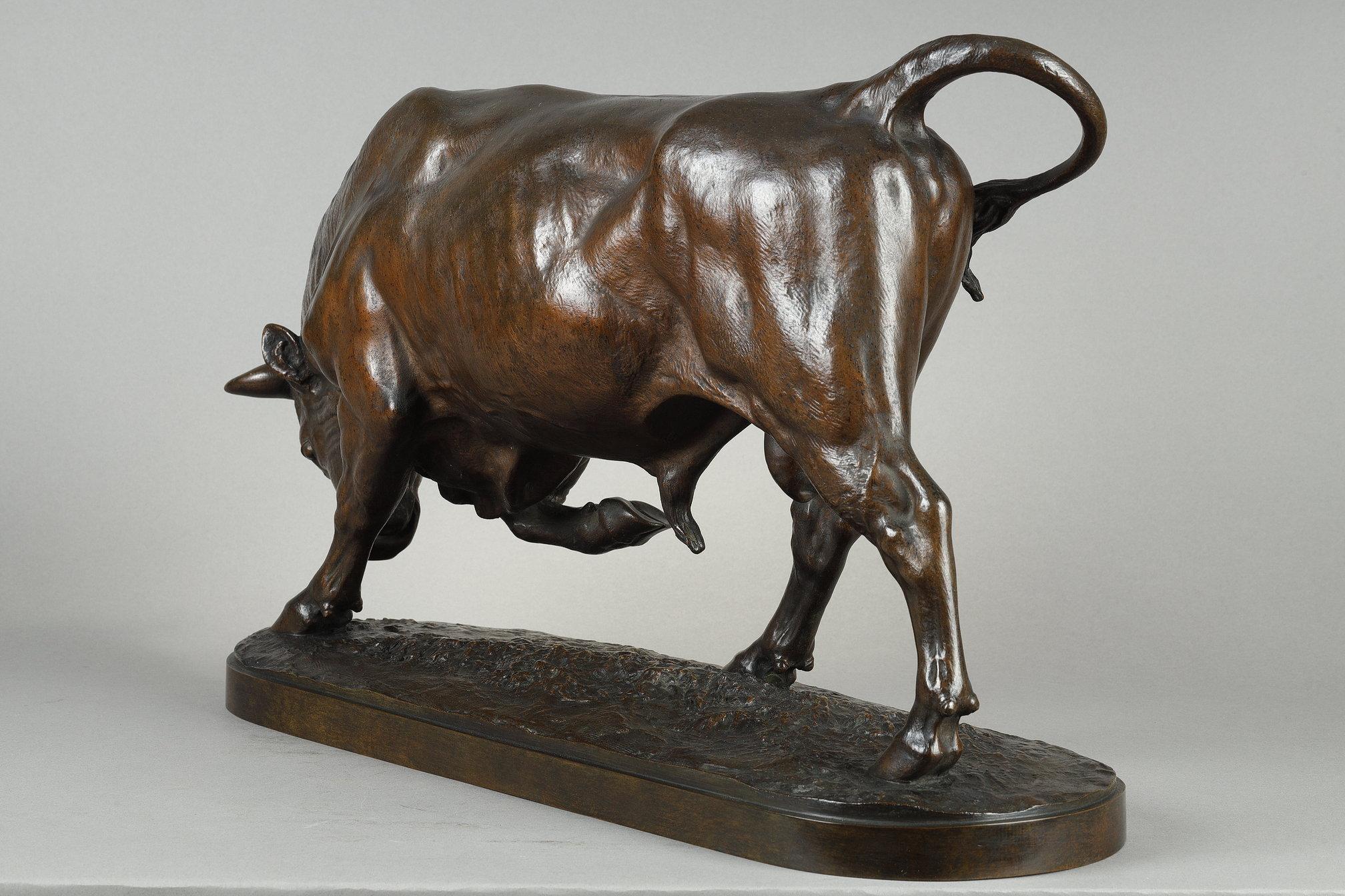 Toro de pie, cabeza inclinada en venta 5