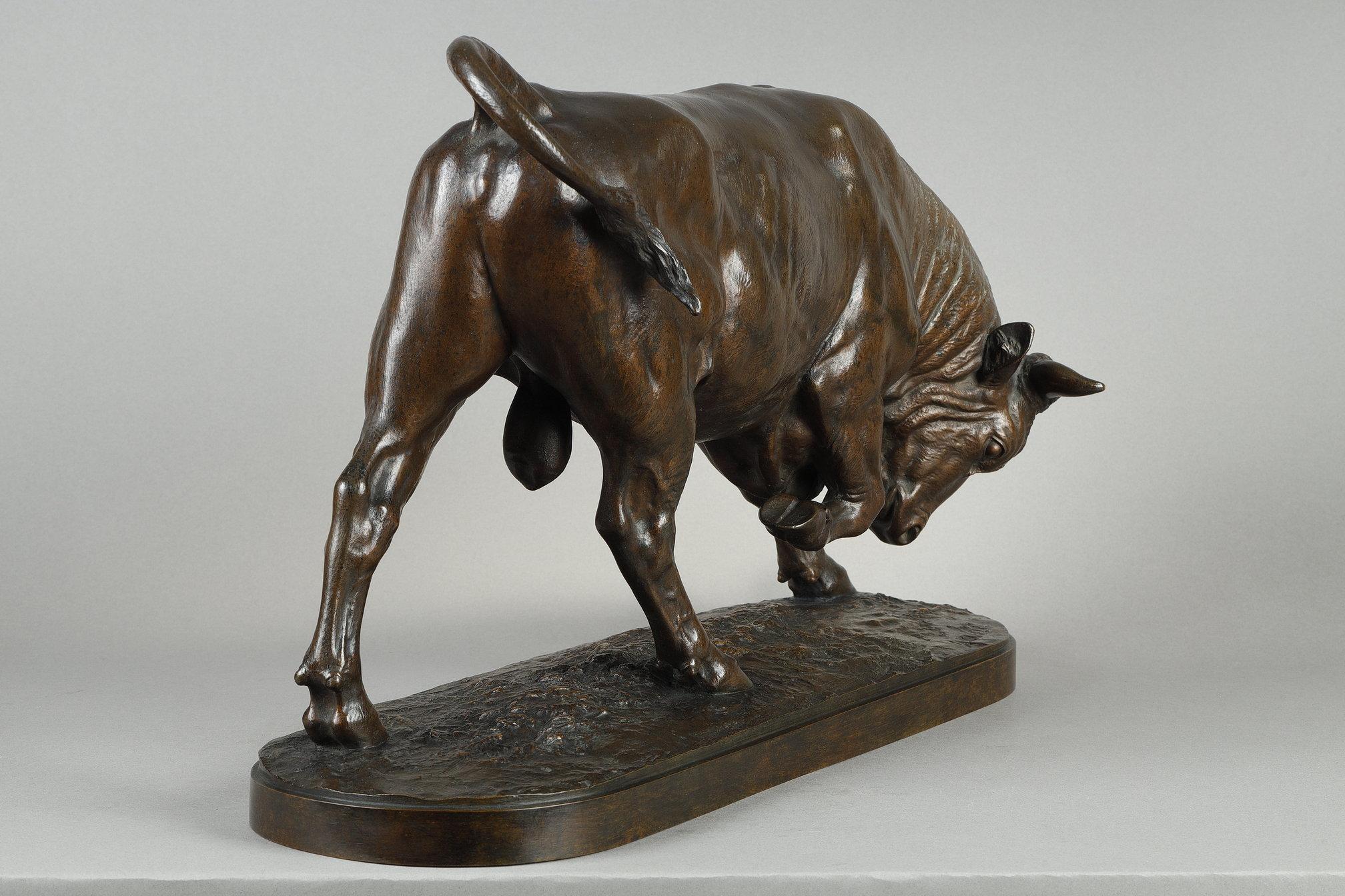 Toro de pie, cabeza inclinada en venta 6