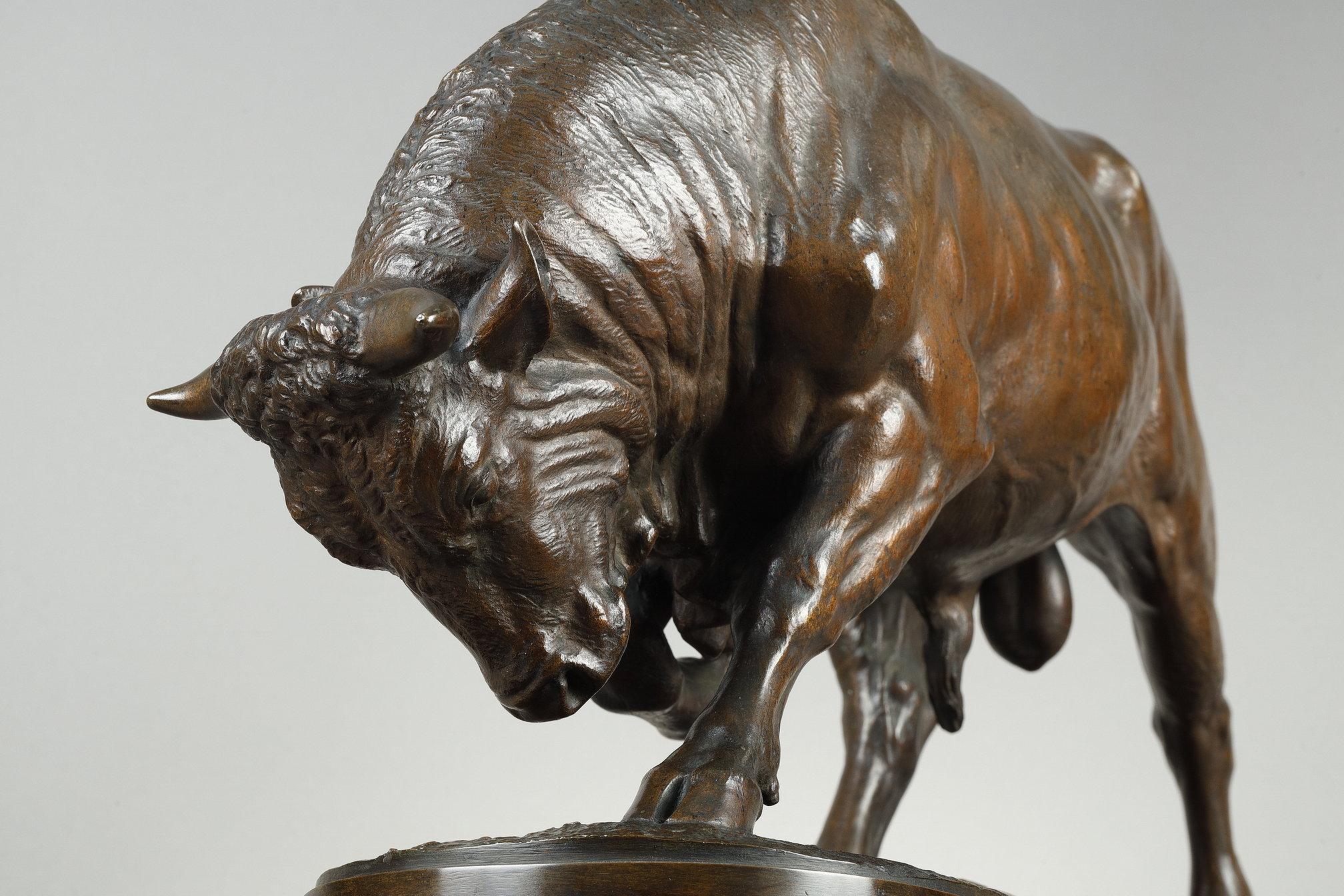 Toro de pie, cabeza inclinada en venta 2