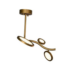 Island Circles Brass Pendant Lamp by Dainte