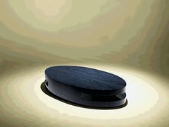 Island Contemporary and Customizable Coffee Table by Luísa Peixoto