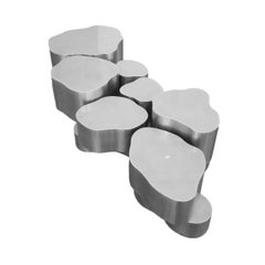 Mesa baja Island Silver de Bert Furnari Biomorfo de aluminio revestido de polvo