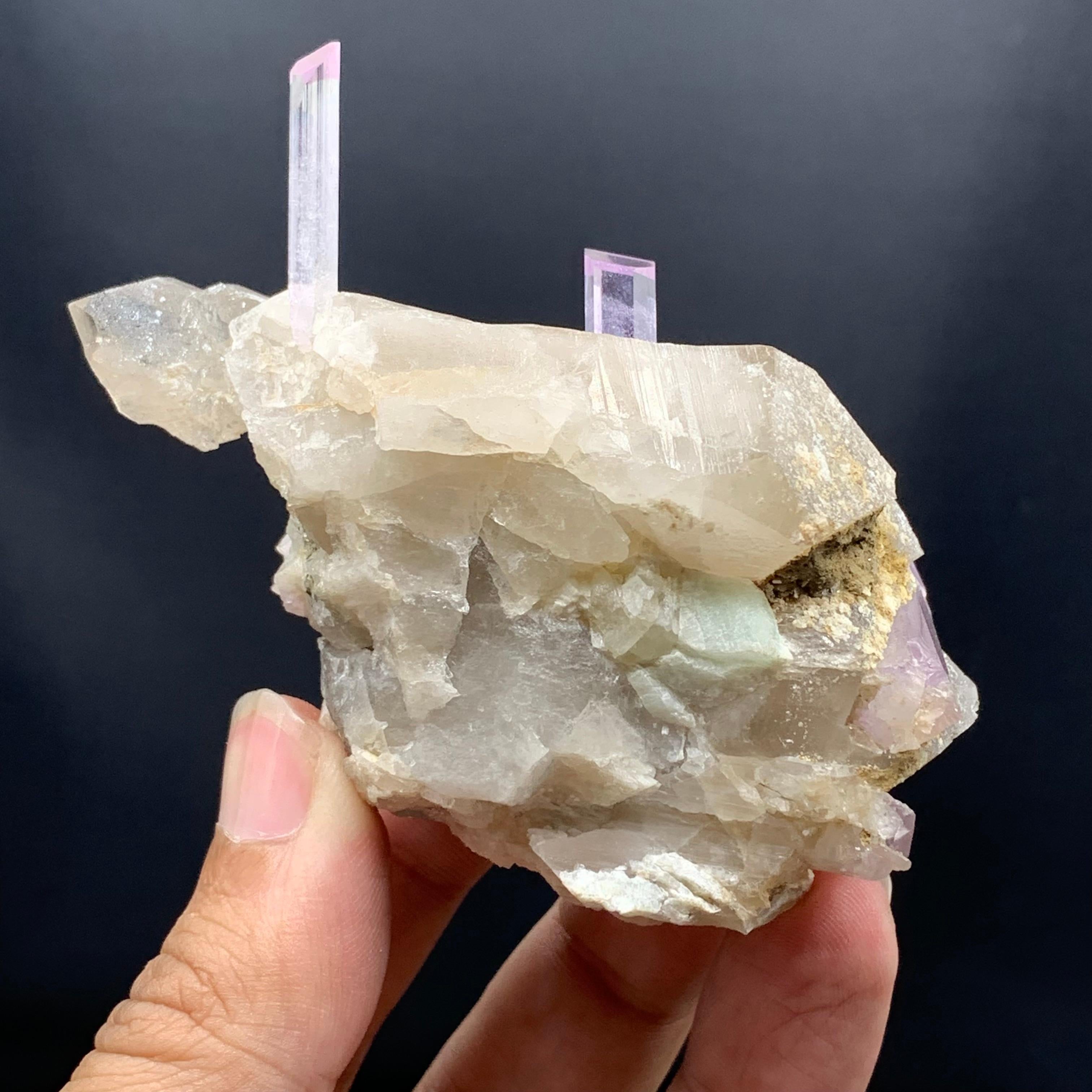 INFORMATIONS SUR LE PRODUIT :

Type de spécimen : Cristaux de kunzite sur quartz fumé
Poids : 144 grammes
Dimensions : H : 8,8 x L : 6,7 x P : 3,5 cm : H : 8,8 x L : 6,7 x P : 3,5 cm
Traitement : Aucun
Localité : District de Darrah I Pech, Province