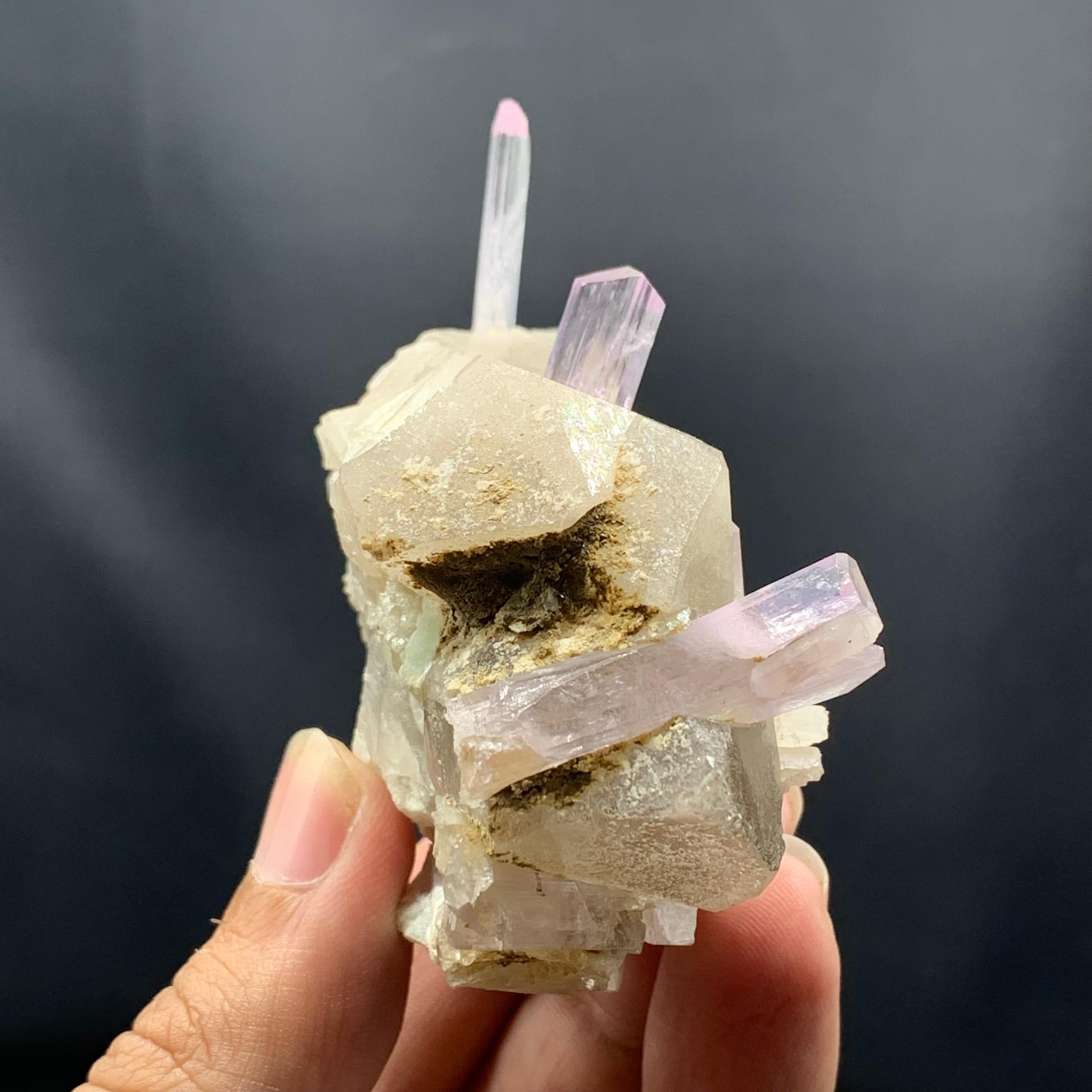 XXIe siècle et contemporain Crystals de kunzite allongés et dorés sur quartz fumé d'Afghanistan en vente