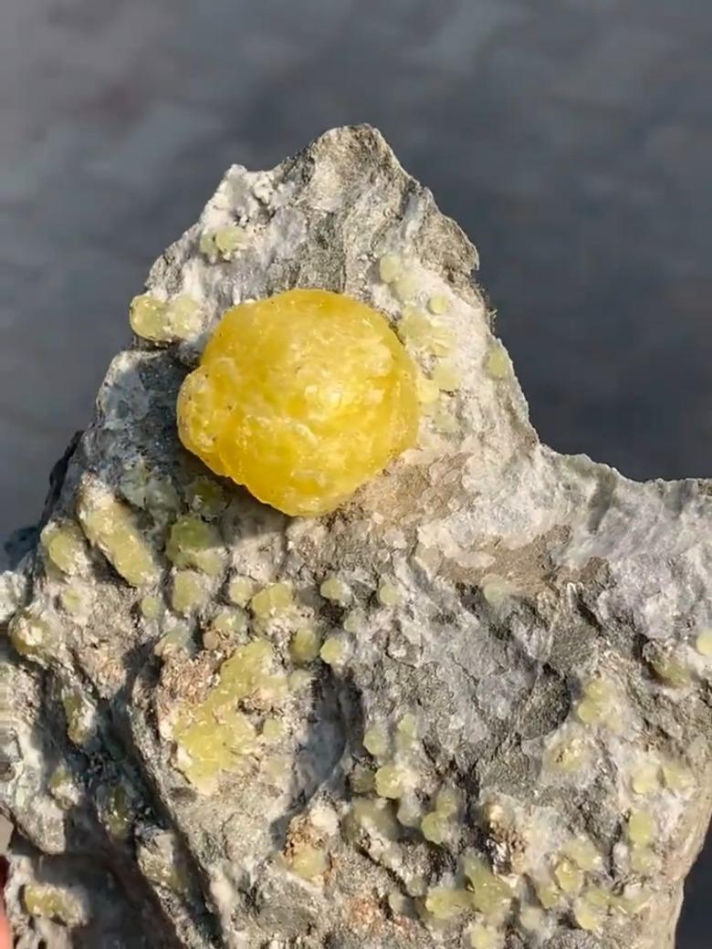 Isoliertes Zitronengelbes Botryoidal-Bürokristall auf Chromite-Matrix aus Pakistan (Ungeschliffen) im Angebot