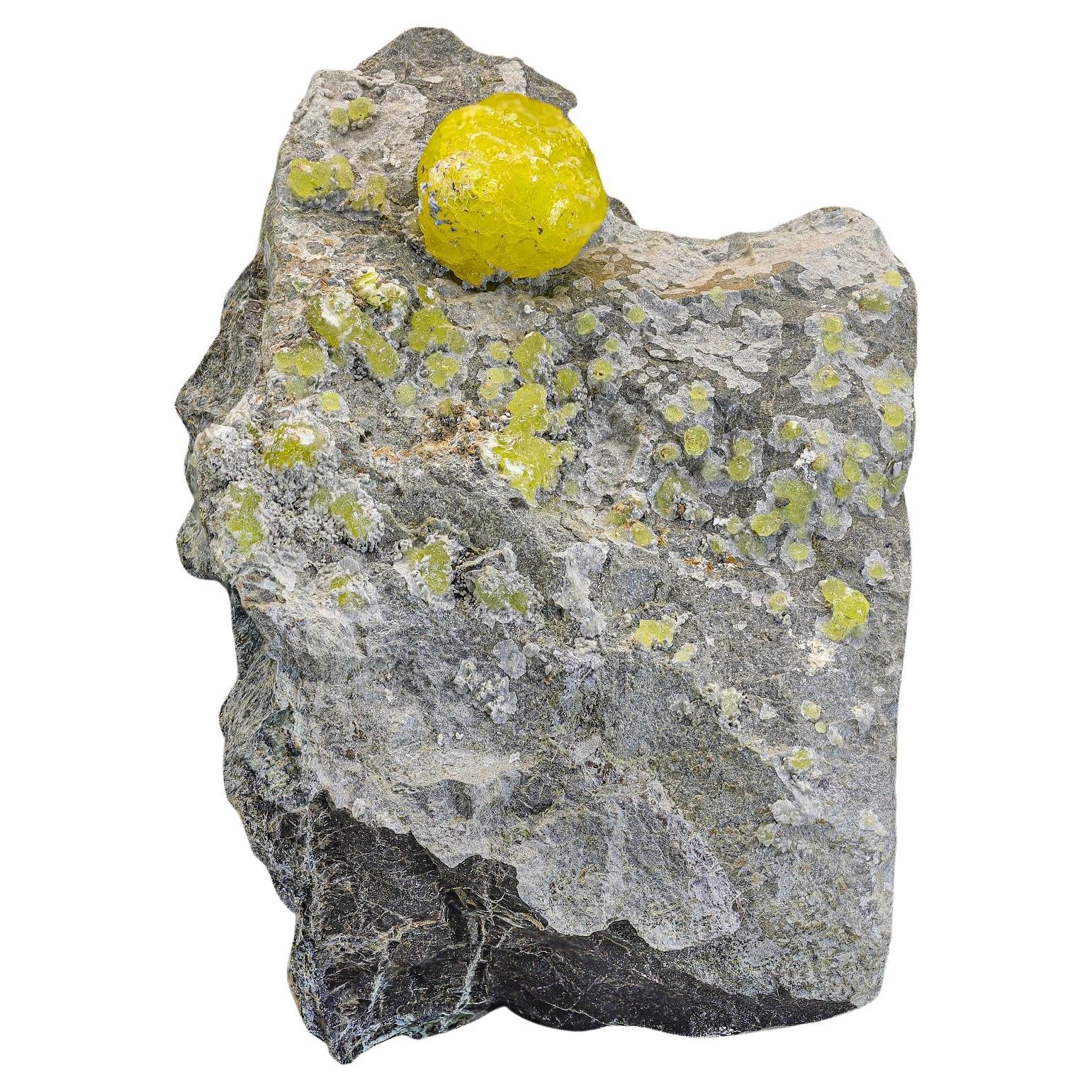Crystal Botryoidal Brucite jaune citron enchâssé sur matrice chromatique du Pakistan en vente