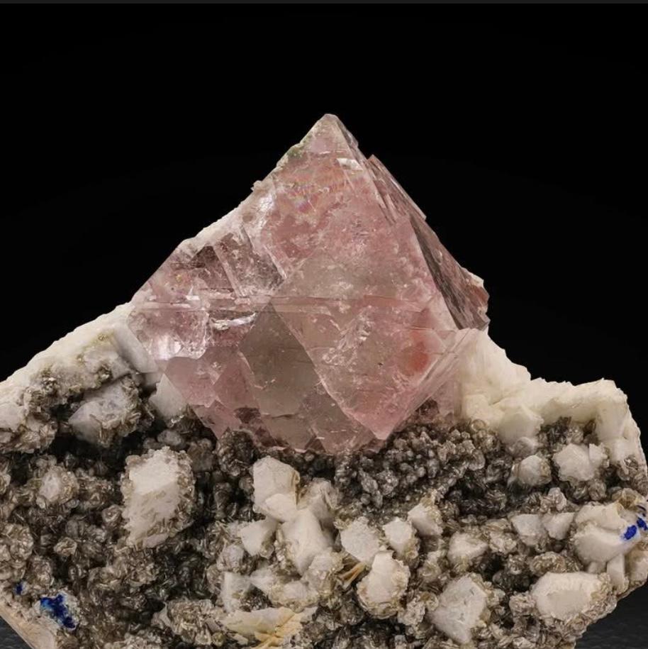 Informazioni sul prodotto:

Nome del campione: Fluorite su Muscovite e Albite

Peso: 311 grammi

Dimensioni: H: 8 x L: 8,5 x P: 5 cm

Trattamento: Nessuno

Origine: Valle di Nagar, distretto di Skardu, Gilgit Baltistan, Pakistan 

Descrizione: