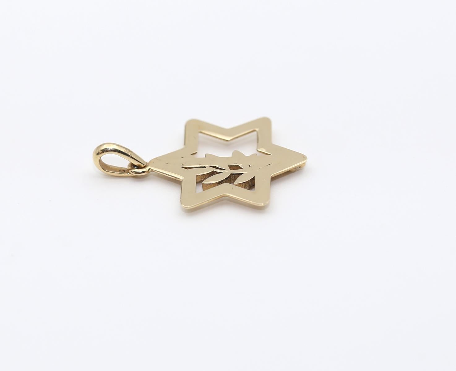 Women's or Men's Israel Defence Forces IDF Pendant Yellow Gold, 2024