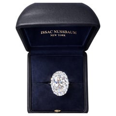Bague Issac Nussbaum en platine 18 carats diamant ovale couleur H VS1 clarté.