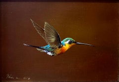 Colibrì