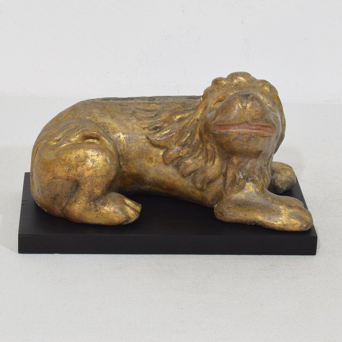 Unique period piece. Extremely rare 16th century Italian hand carved wooden lion. Most likely once part of a piece of furniture. Beautifully carved in a simple folk art way with traces of its original gilding. Italy circa 1500-1600. Weathered and