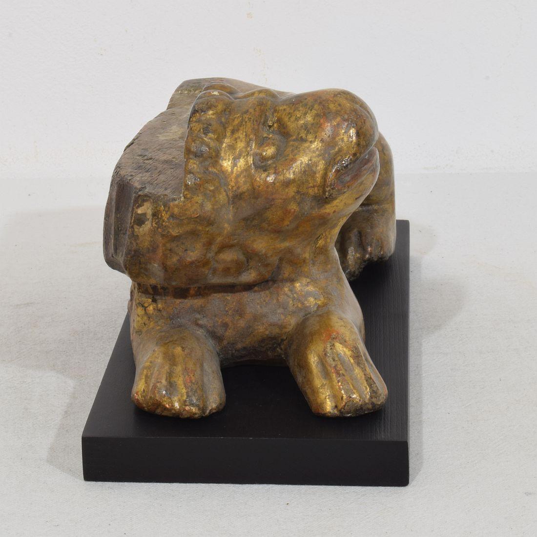 Italian 16th century Hand Carved Wooden Lion For Sale 1