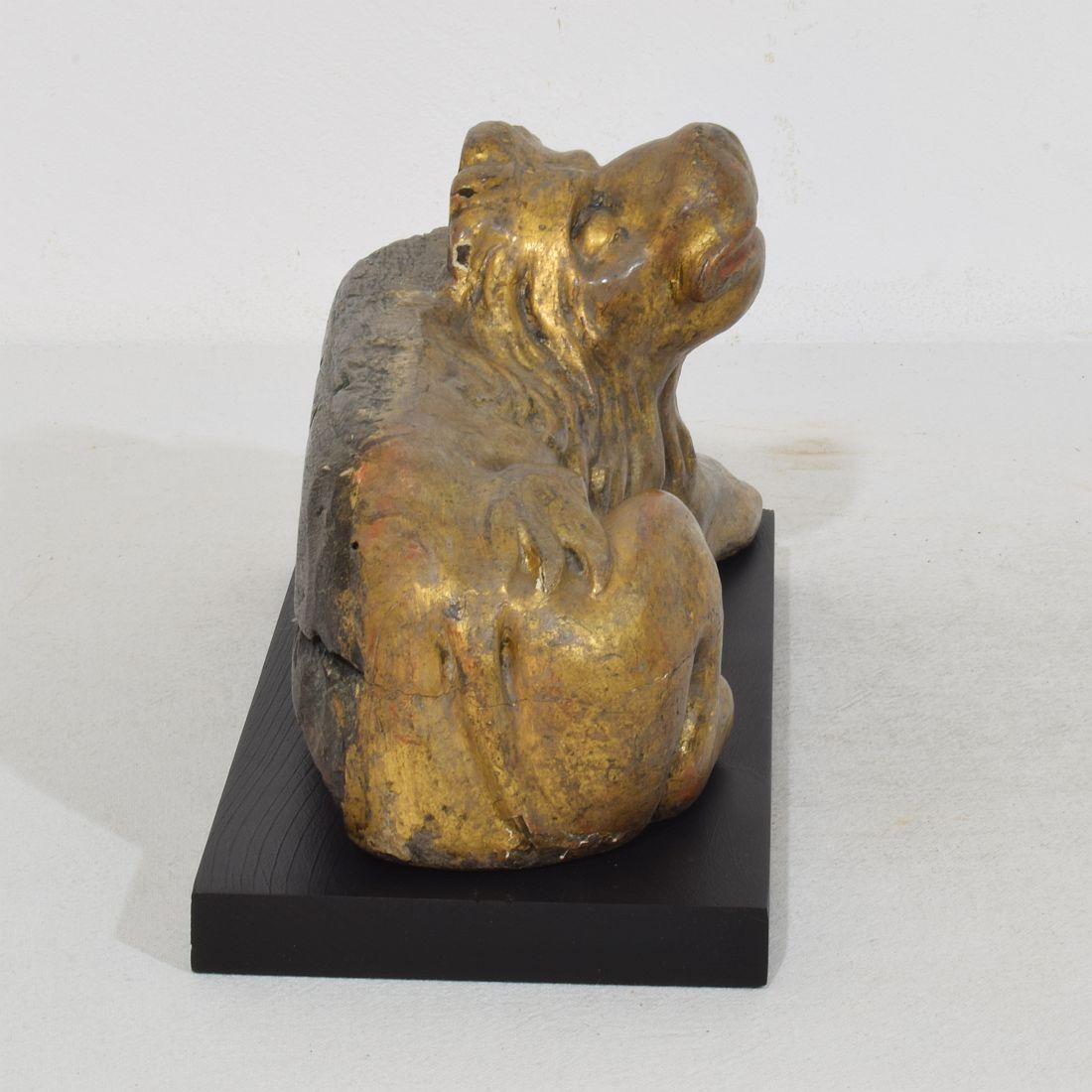 Italian 16th century Hand Carved Wooden Lion For Sale 2