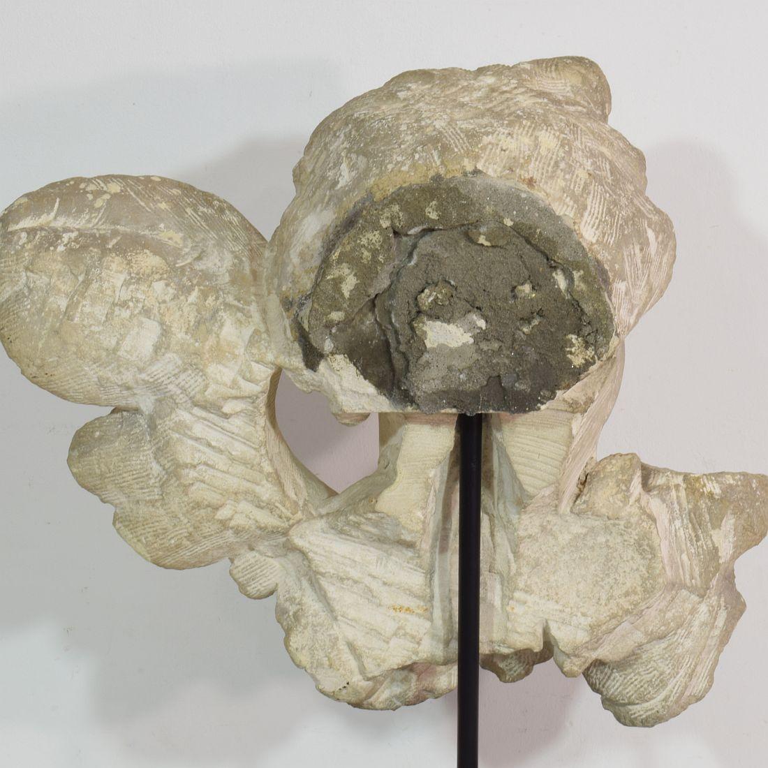 Italian 17/18th Century Carved Limestone Angel Head 4