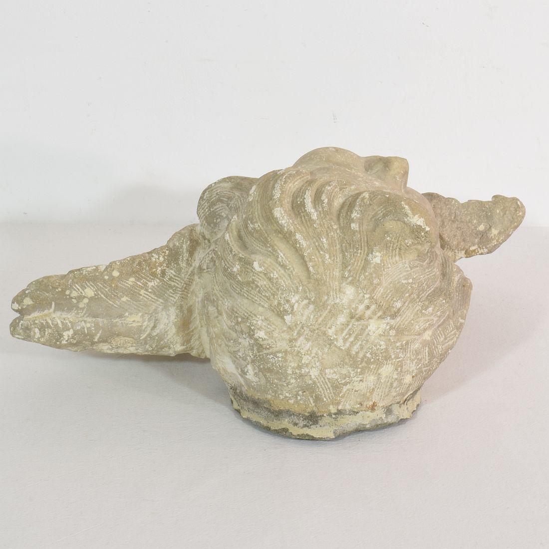 Italian 17/18th Century Carved Limestone Angel Head 13