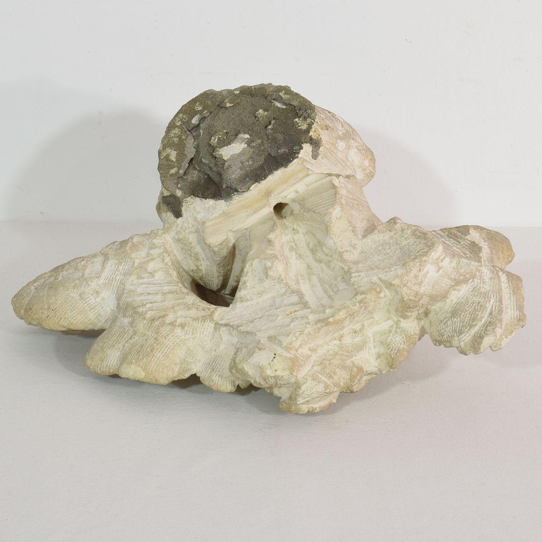 Italian 17/18th Century Carved Limestone Angel Head 14