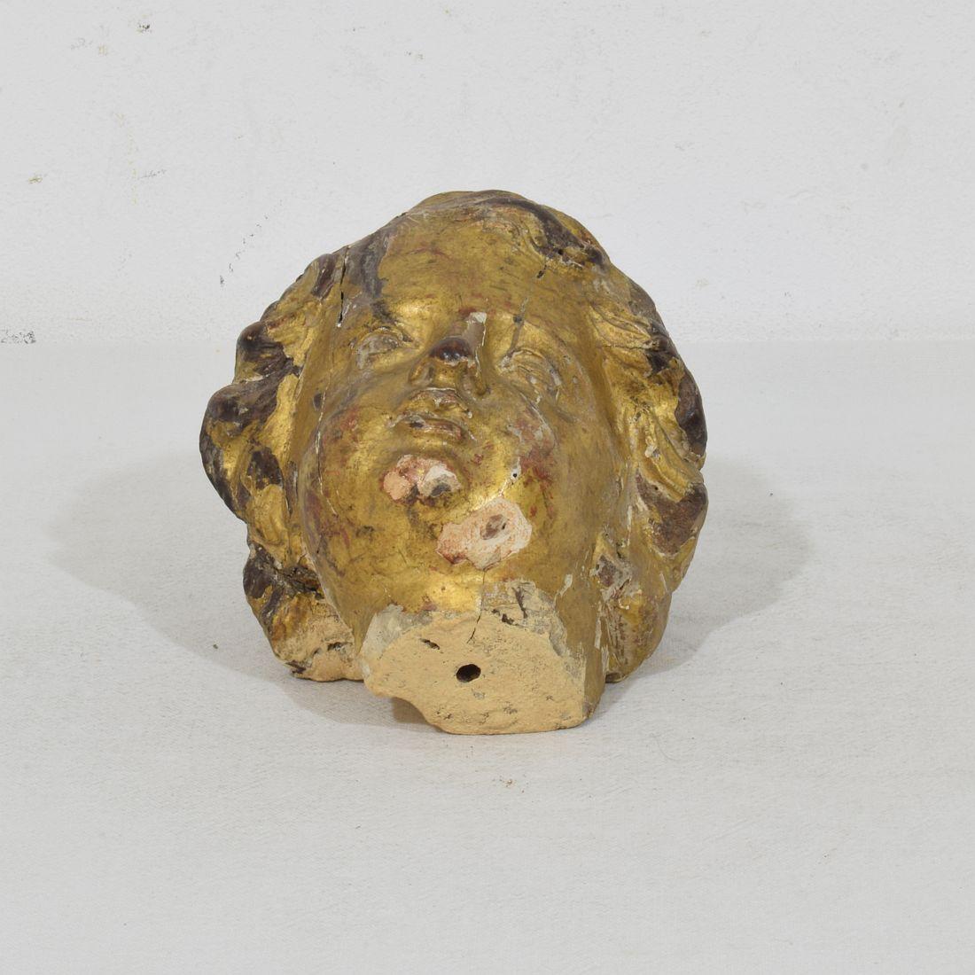 Italian 17th 18th Century Carved Giltwood Baroque Angel Head in vendita 6