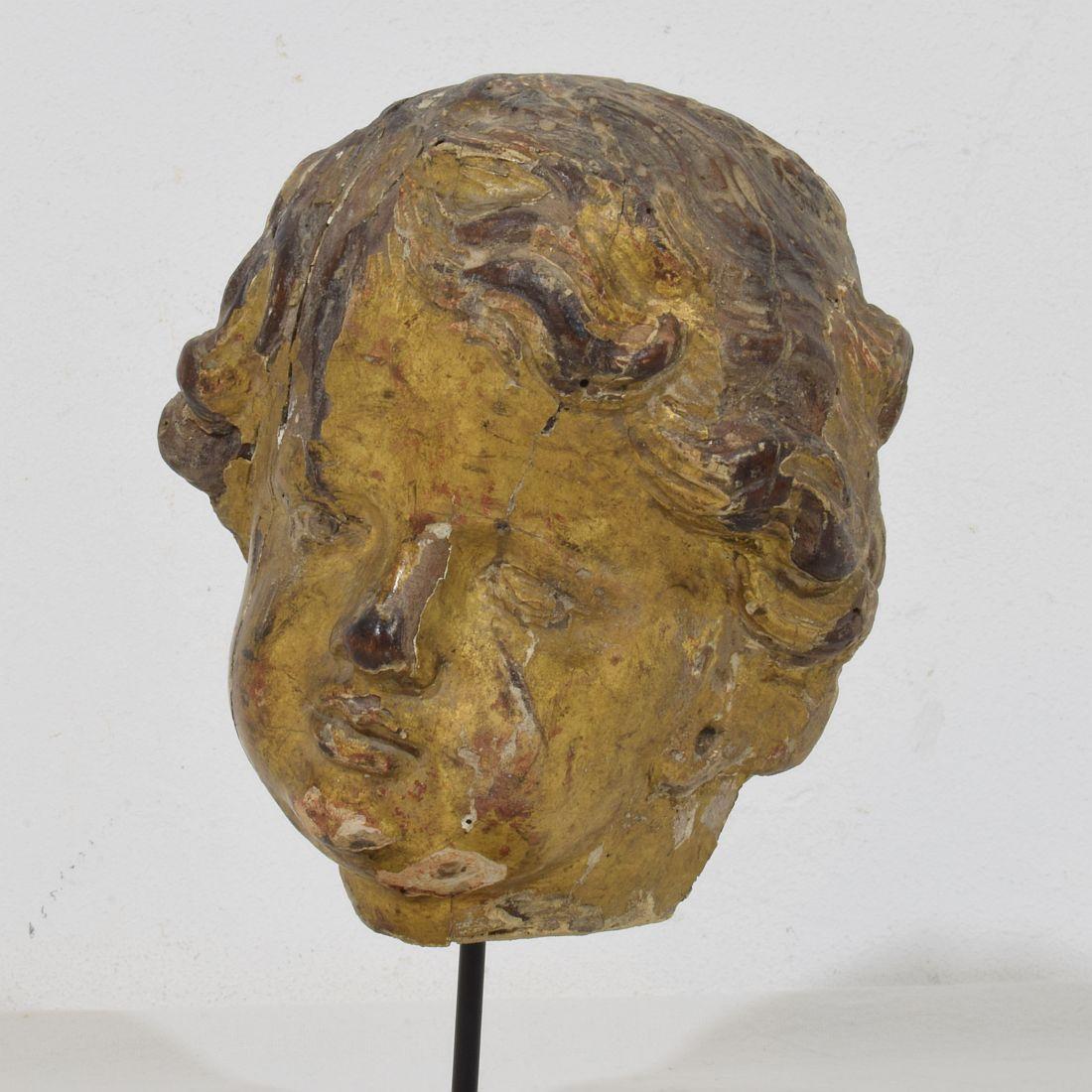 Legno Italian 17th 18th Century Carved Giltwood Baroque Angel Head in vendita