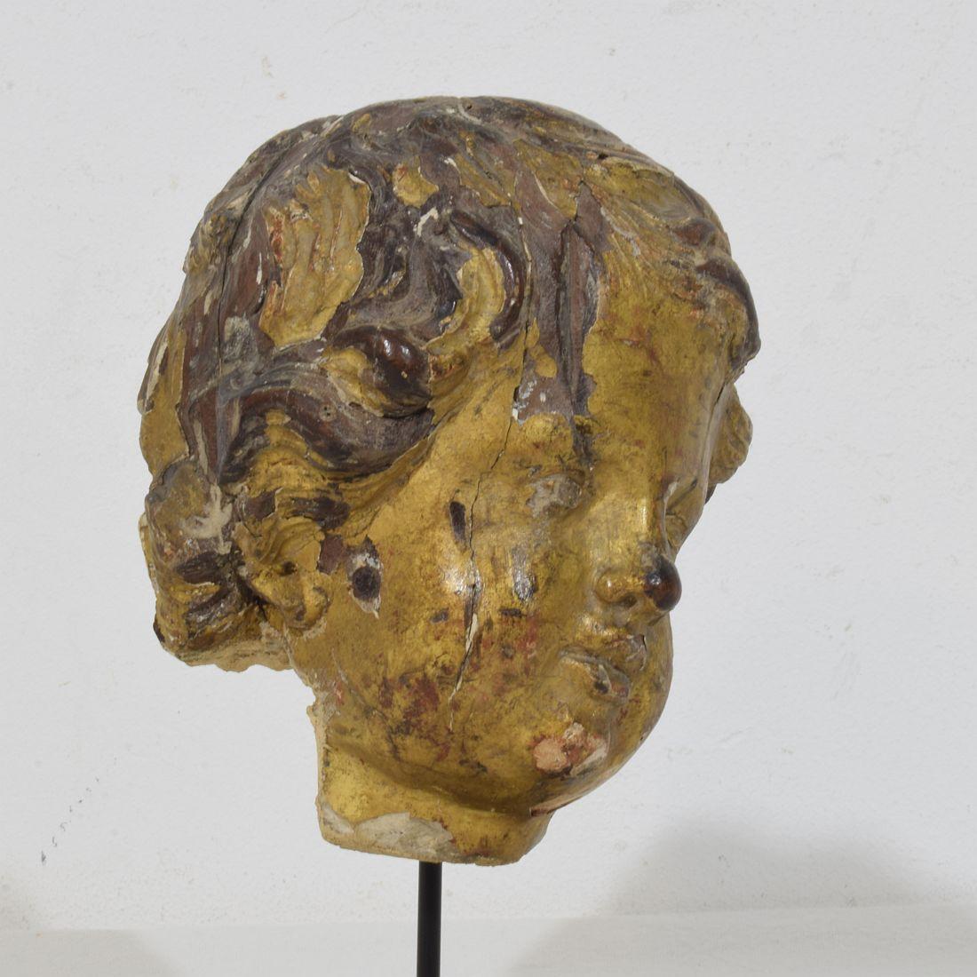Italian 17th 18th Century Carved Giltwood Baroque Angel Head in vendita 1