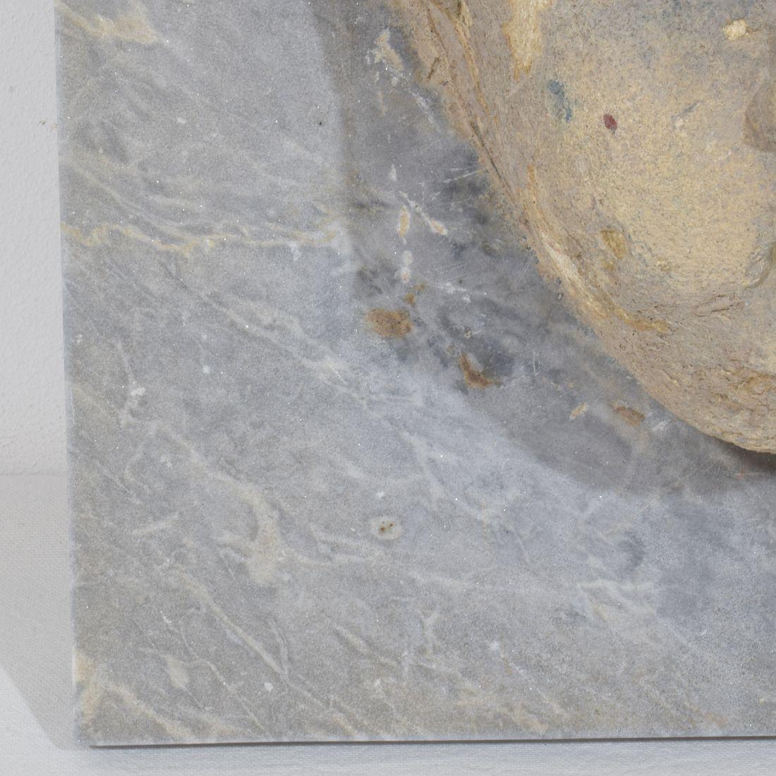 Testa di fontana di cherubino in pietra intagliata del XVII-XVIII secolo su pannello di marmo in vendita 4