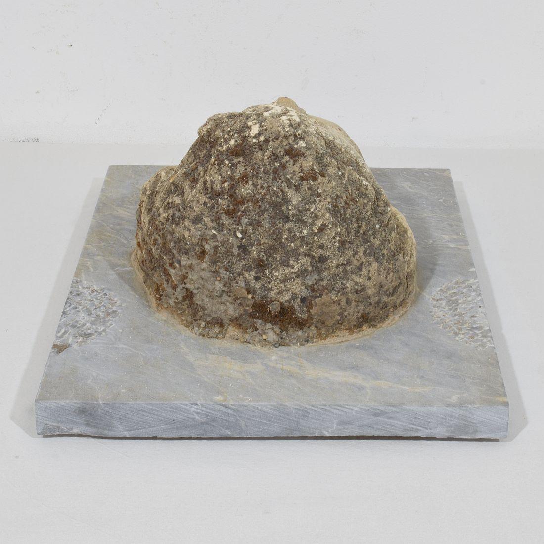 Testa di fontana di cherubino in pietra intagliata del XVII-XVIII secolo su pannello di marmo in vendita 10