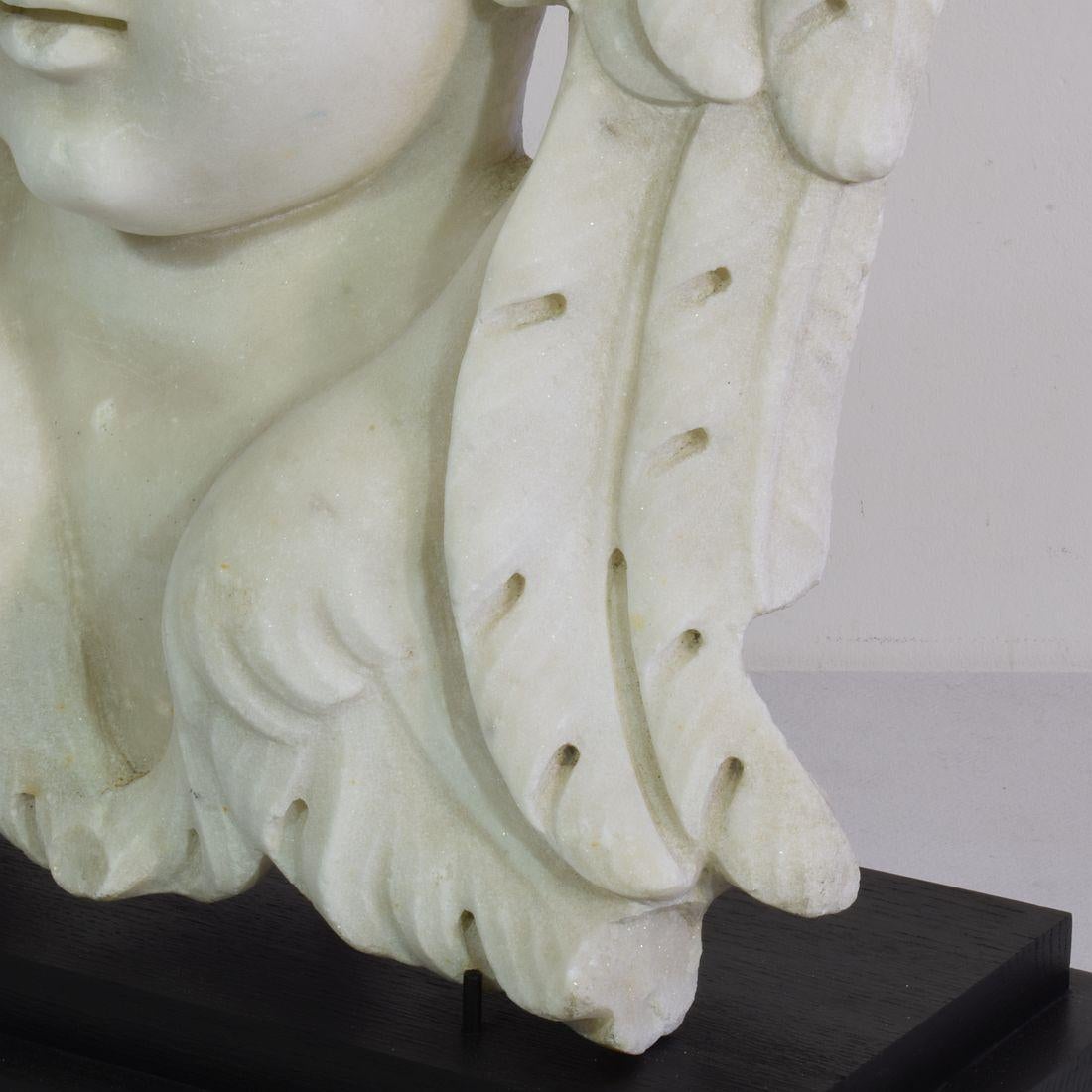 Italienische geschnitzte, geflügelte Engelskopf-Dekoration aus weißem Marmor, 17. / 18. Jahrhundert im Angebot 8