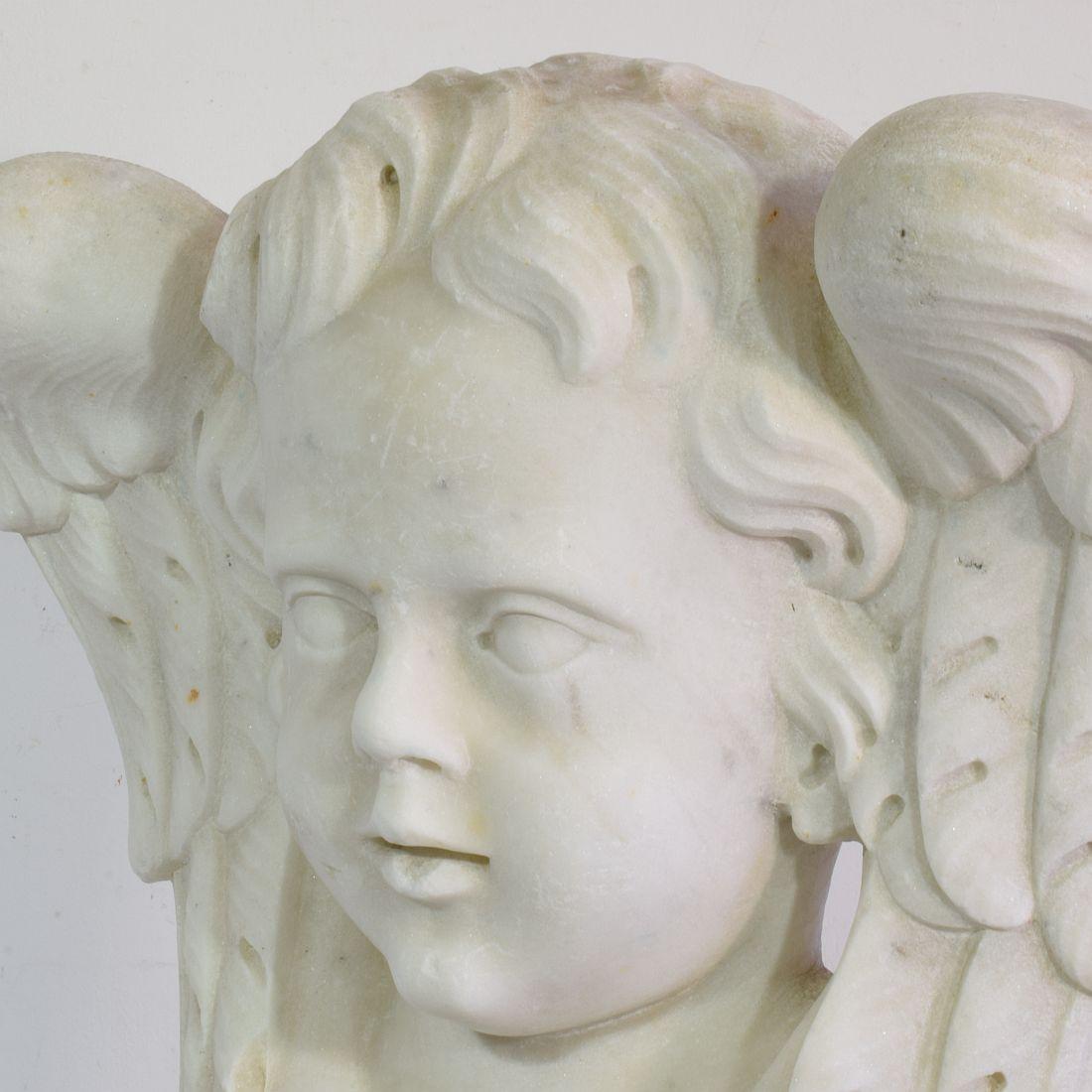 Italienische geschnitzte, geflügelte Engelskopf-Dekoration aus weißem Marmor, 17. / 18. Jahrhundert im Angebot 1
