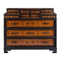 Italian 17th Century Ebonized Fruitwood and Walnut Inlaid Chest, circa 1680