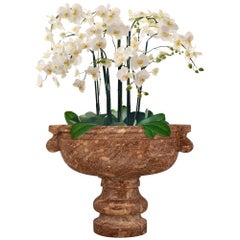 Jardinera/Urina italiana de mármol sarrancolino del siglo XVII