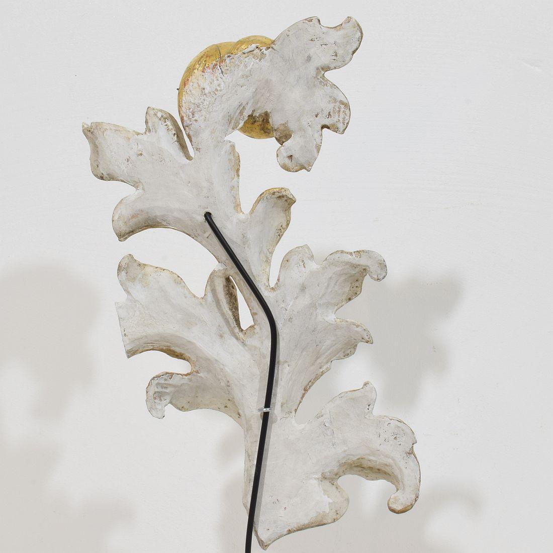 Italian 18/19th Century Hand Carved Giltwood Acanthus Leaf Curl Ornament. For Sale 4