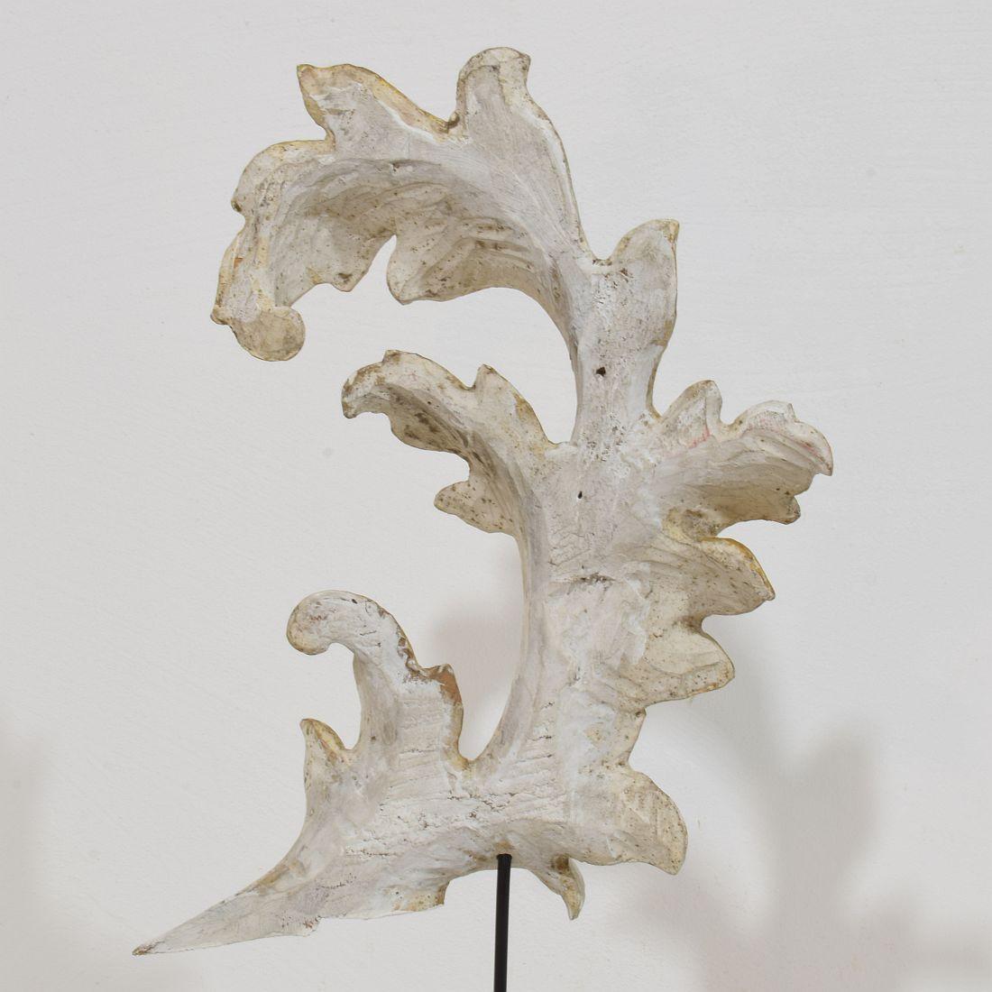 The Ornamental Acanthus Leaf Curl en bois doré sculpté à la main, Italie 18/19e siècle en vente 3