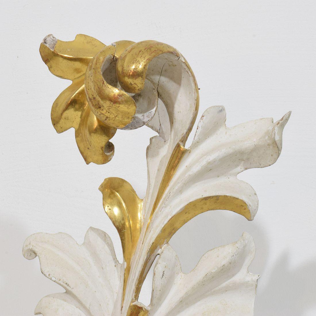 Italian 18/19th Century Hand Carved Giltwood Acanthus Leaf Curl Ornament. For Sale 5