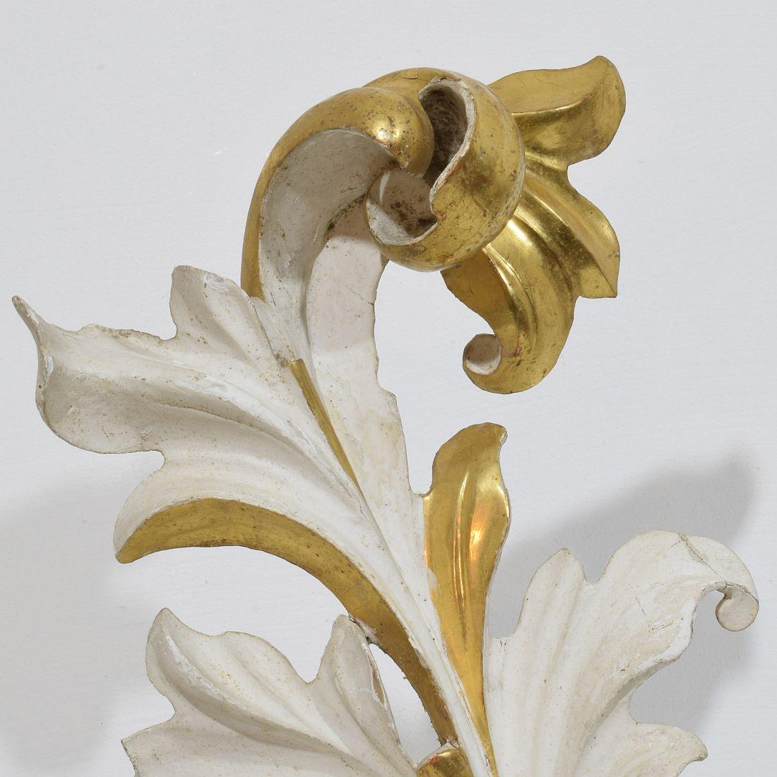 Italian 18/19th Century Hand Carved Giltwood Acanthus Leaf Curl Ornament For Sale 5