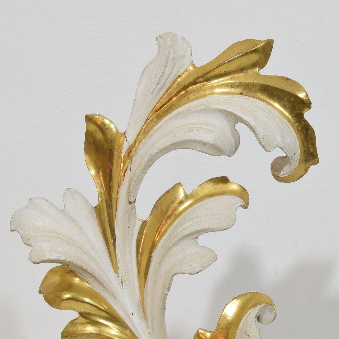 The Ornamental Acanthus Leaf Curl en bois doré sculpté à la main, Italie 18/19e siècle en vente 4
