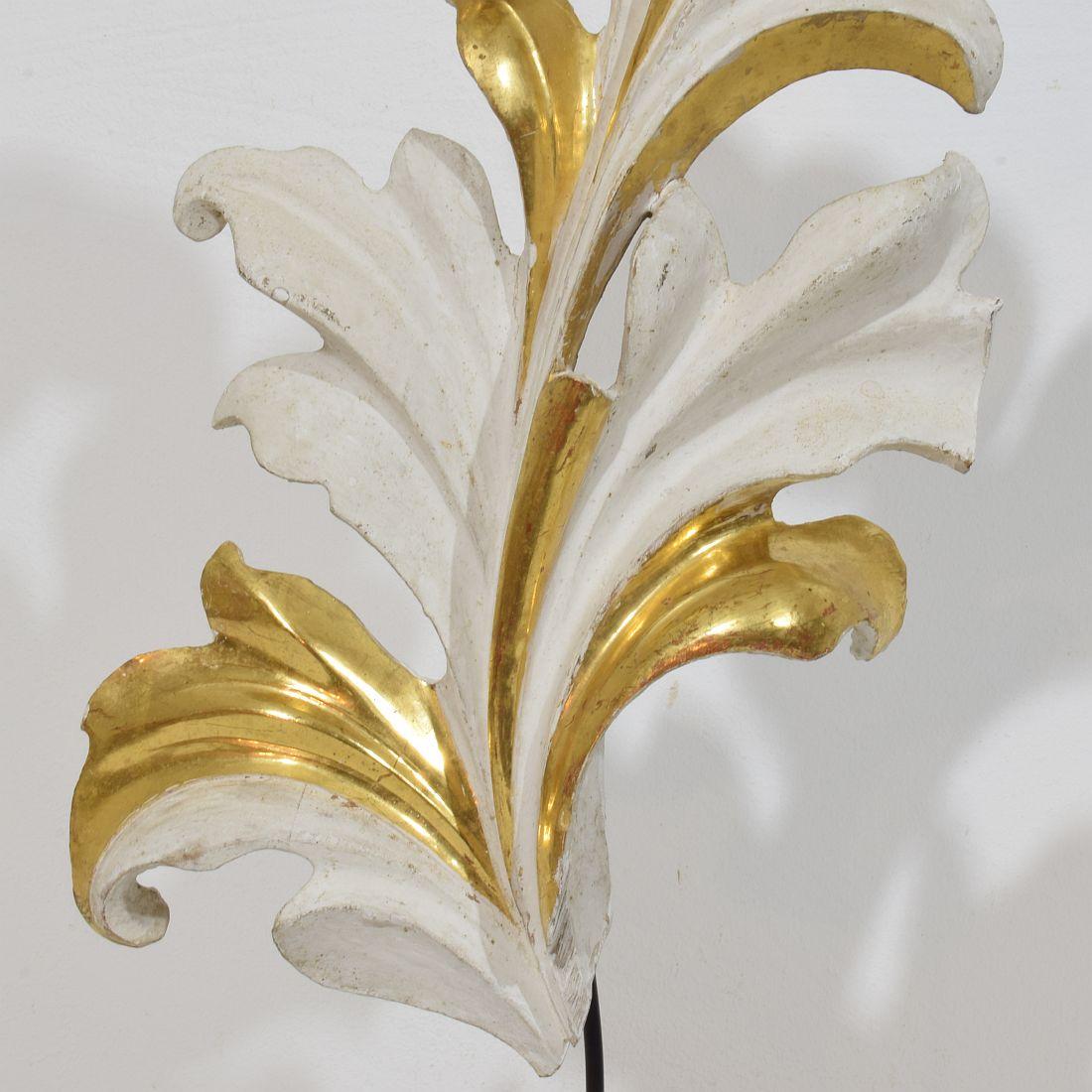 Italian 18/19th Century Hand Carved Giltwood Acanthus Leaf Curl Ornament. For Sale 6