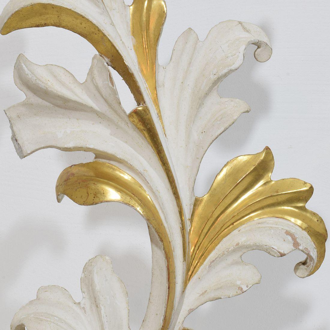 Italian 18/19th Century Hand Carved Giltwood Acanthus Leaf Curl Ornament For Sale 6