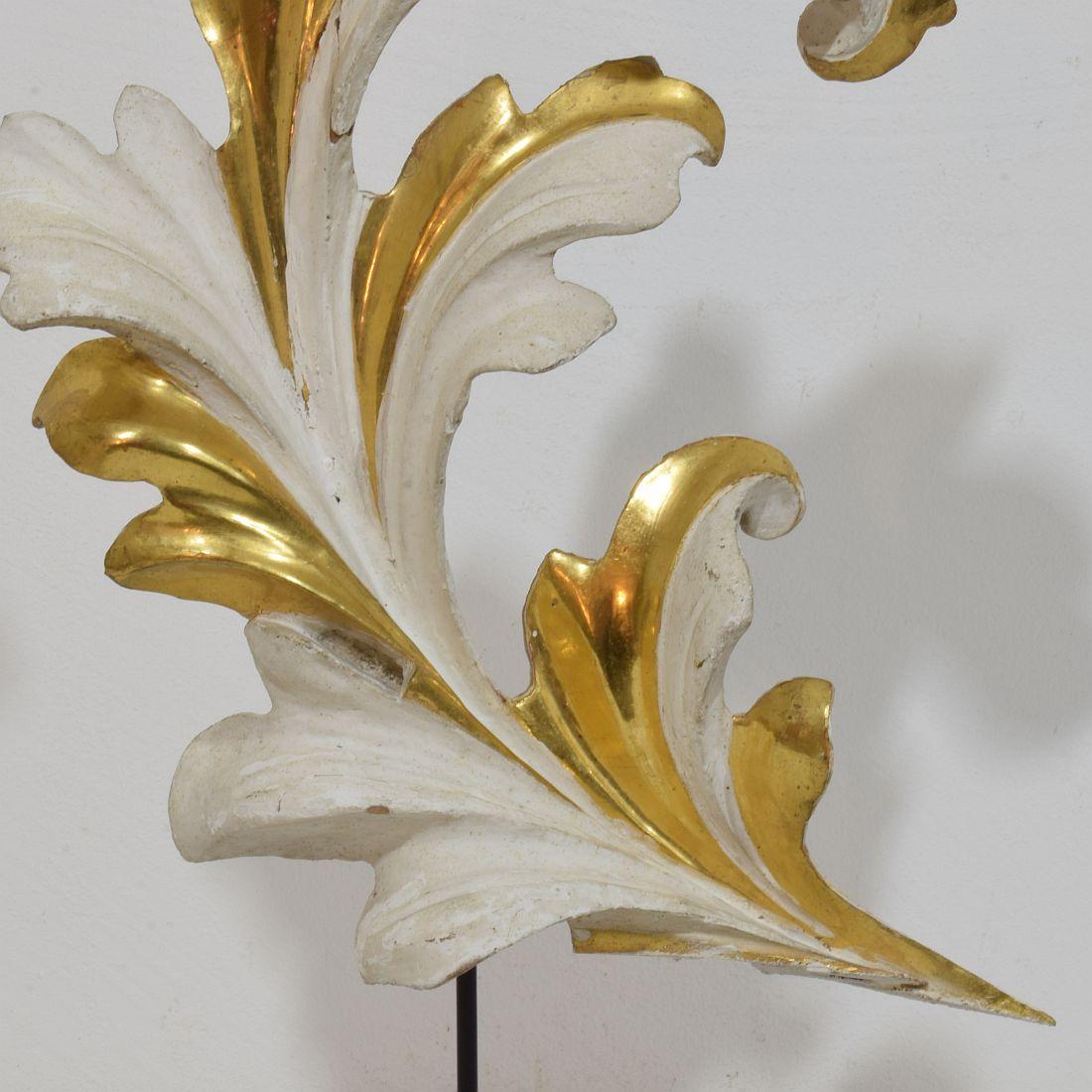 Italian 18/19th Century Hand Carved Giltwood Acanthus Leaf Curl Ornament For Sale 6