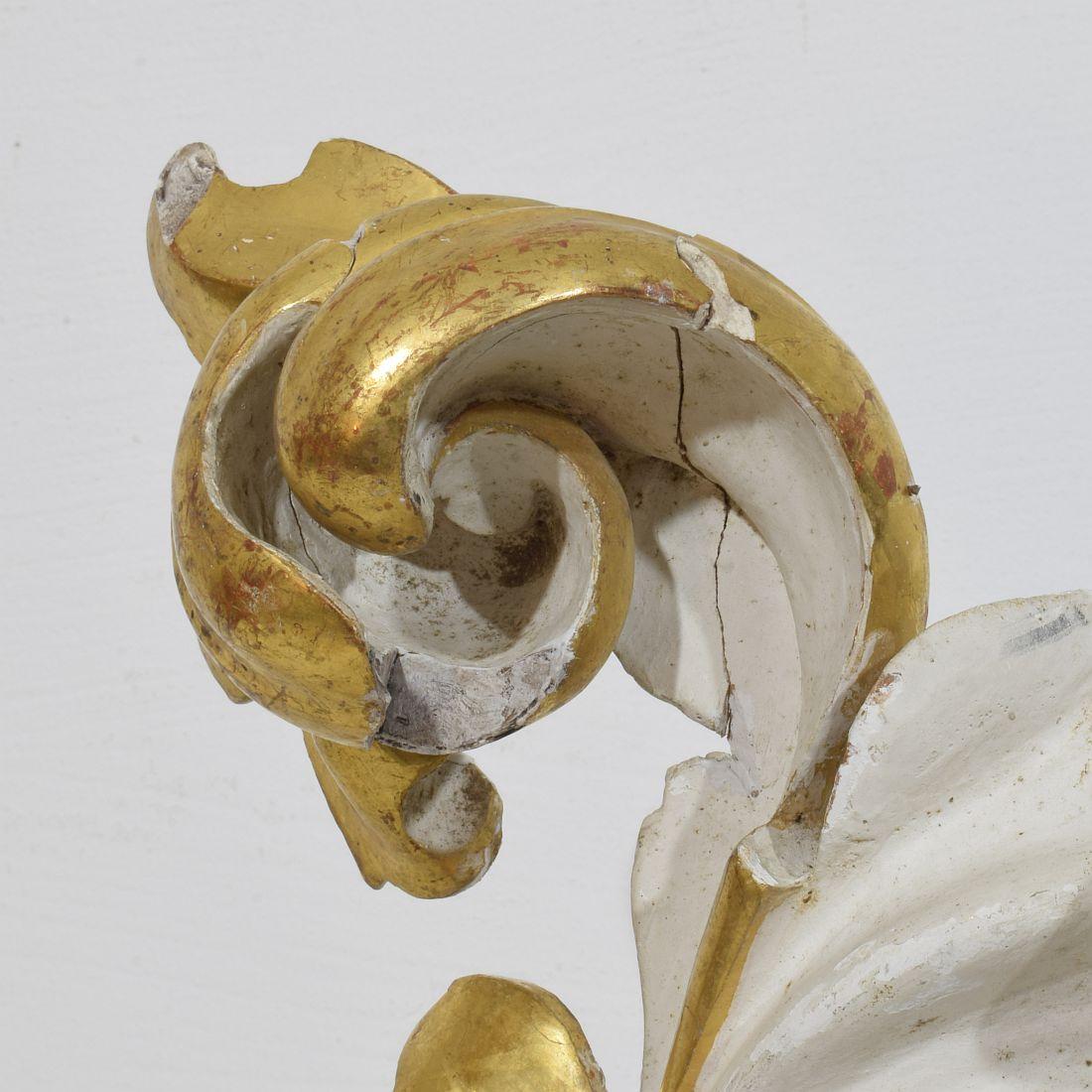 The Ornamental Acanthus Leaf Curl, ornement italien en bois doré sculpté à la main, datant du 18/19e siècle. en vente 7