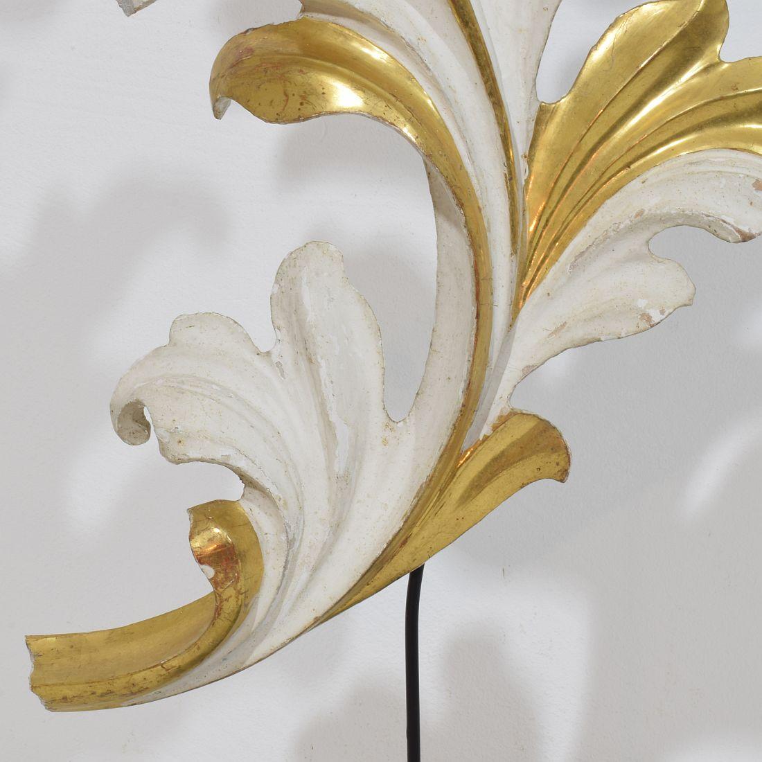 Italian 18/19th Century Hand Carved Giltwood Acanthus Leaf Curl Ornament For Sale 7
