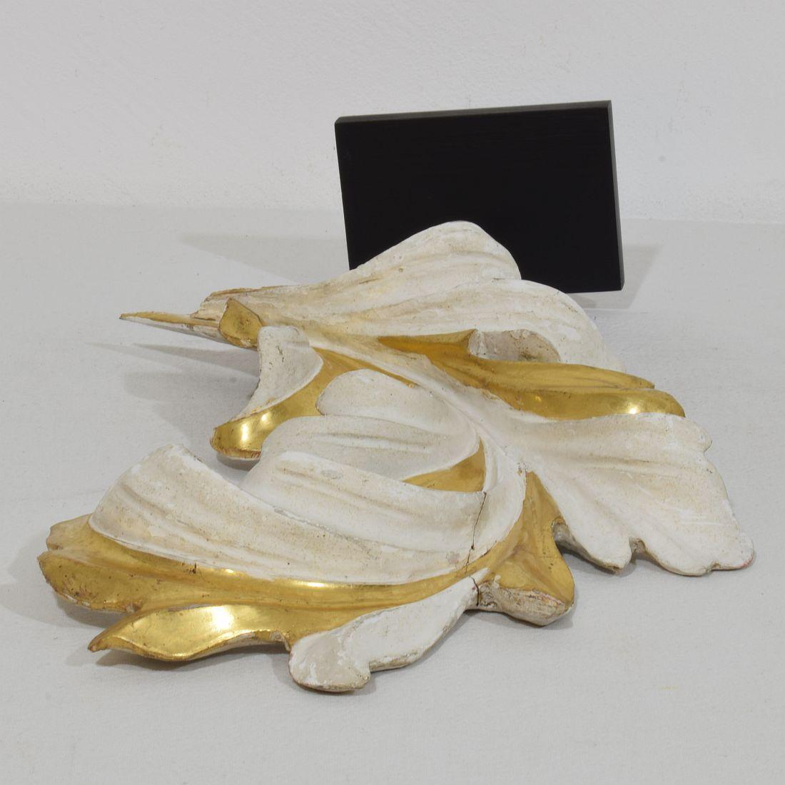 Italian 18/19th Century Hand Carved Giltwood Acanthus Leaf Curl Ornament For Sale 8