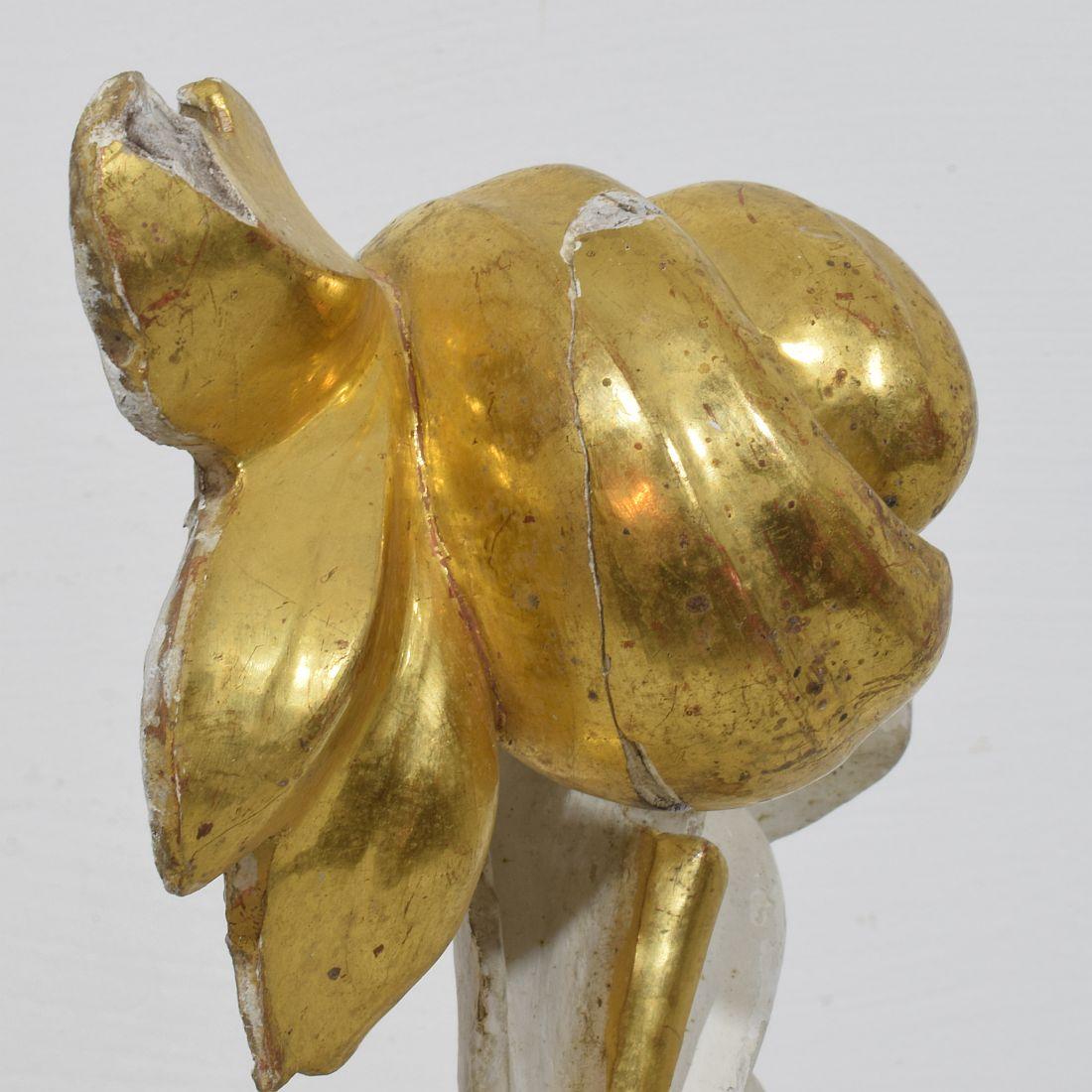 The Ornamental Acanthus Leaf Curl, ornement italien en bois doré sculpté à la main, datant du 18/19e siècle. en vente 9