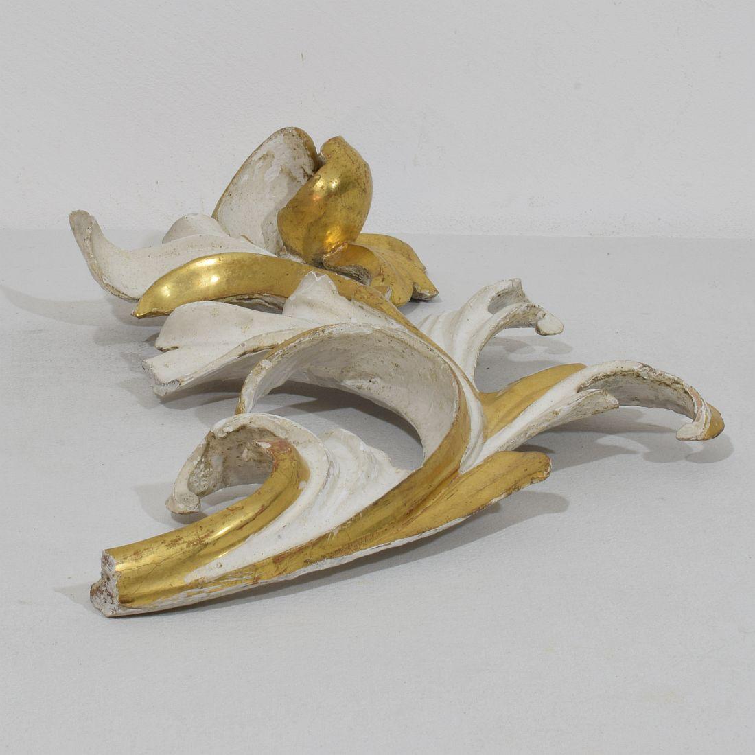 Italian 18/19th Century Hand Carved Giltwood Acanthus Leaf Curl Ornament For Sale 9