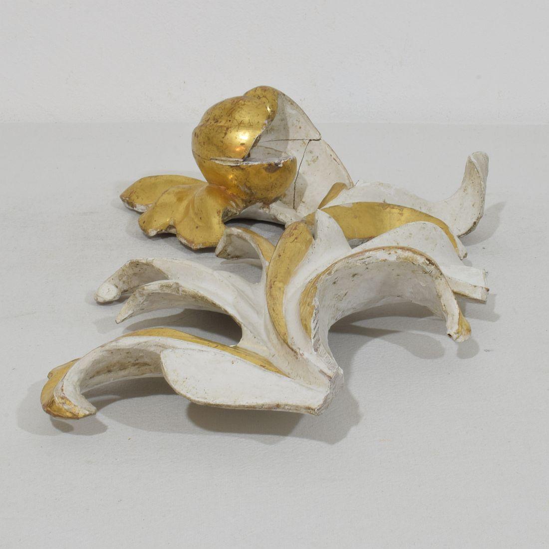 Italian 18/19th Century Hand Carved Giltwood Acanthus Leaf Curl Ornament. For Sale 11