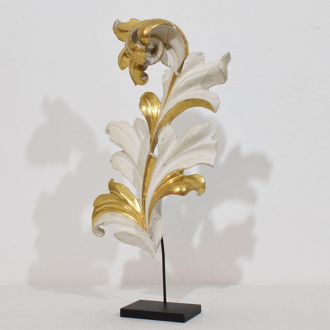 
Wunderschönes handgeschnitztes Akanthusblatt-Ornament aus Goldholz, das einst eine Kapelle schmückte, und das aufgrund seines hohen Alters ein schönes verwittertes Aussehen hat.
Italien um 1780/1850 , verwittert, kleine Schäden und alte