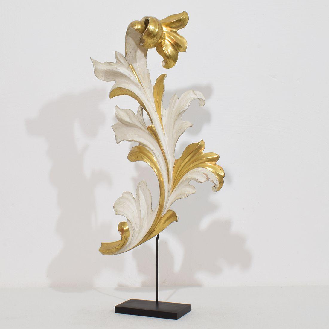 Wunderschönes handgeschnitztes Akanthusblatt-Ornament aus Goldholz, das einst eine Kapelle schmückte, ein Originalstück aus der Zeit, das aufgrund seiner  hohes Alter hat  ein wunderbar verwittertes Aussehen.
Italien um 1780/1850 , verwittert,